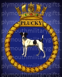 HMS Plucky Magnet